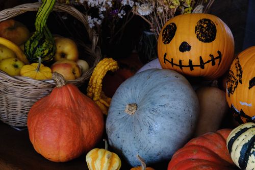 Free A vibrant autumn display of pumpkins and various gourds in a rustic setting, perfect for fall and Halloween themes. Stock Photo