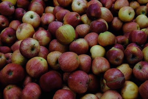 Fresh Apples in Close Up Photography