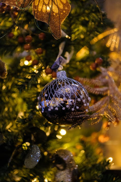 Fotos de stock gratuitas de adorno de navidad, árbol de Navidad, bola