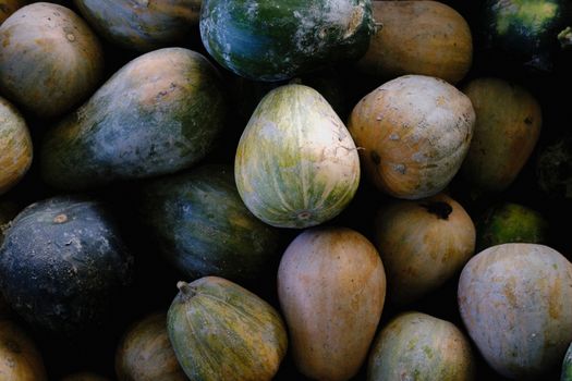 A variety of pumpkins arranged in a flat lay, showcasing different colors and textures.