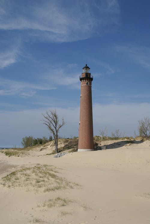 Foto profissional grátis de ajuda à navegação, areia da praia, árvore nua