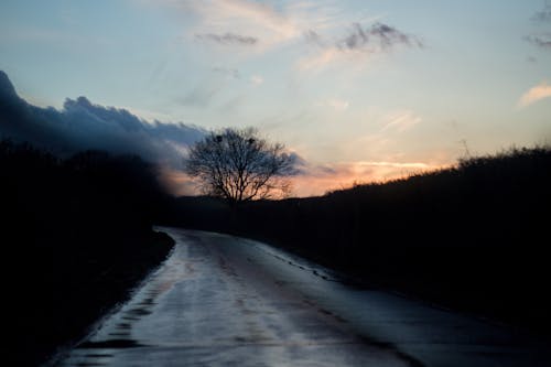 Free stock photo of blue sky, clouds, golden hour