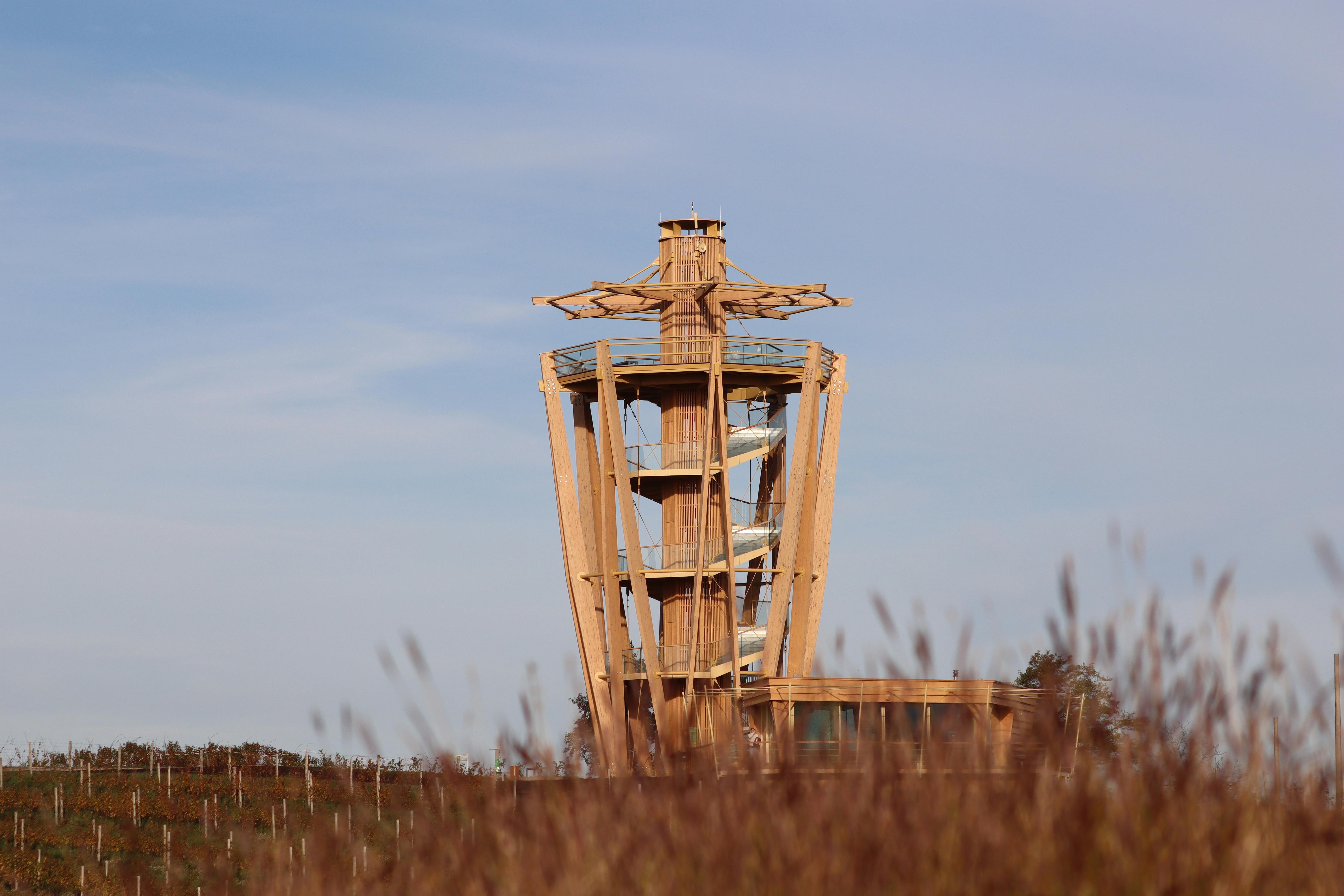DWR Unveils New Vision to Strengthen Water Management and Climate Resilience in San Joaquin Valley — Photo by Nikola Tomašić 