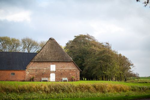 Free Traditional thatched-roof farmhouse surrounded by lush greenery in a rural setting. Stock Photo