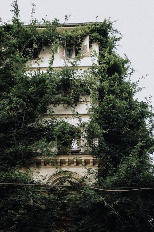 Free An abandoned building in Istanbul covered with lush greenery and vines. Stock Photo