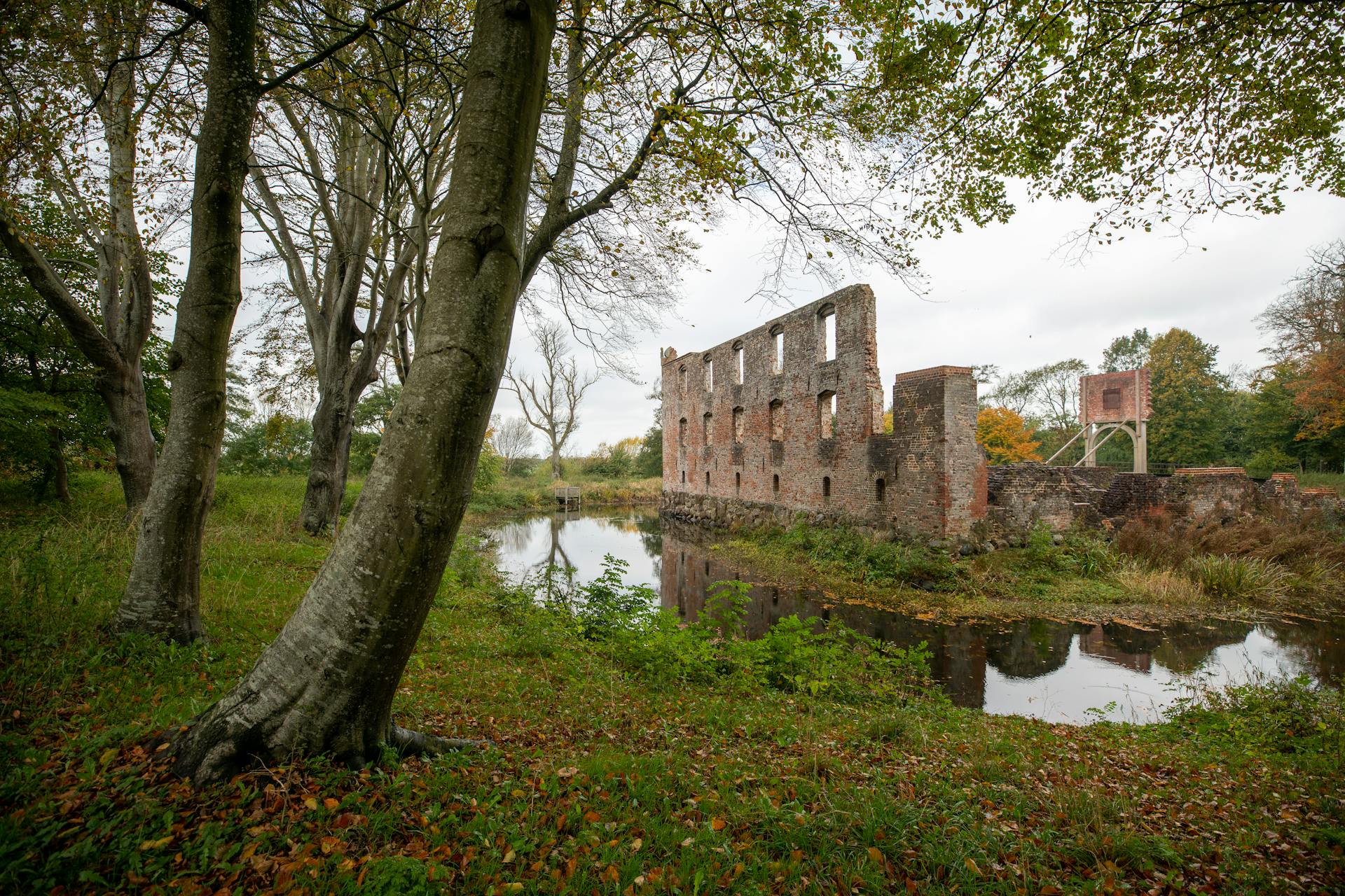 Ruins of Castle near Pond in Forest