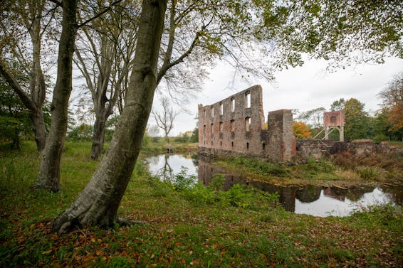 Ruins of Castle near Pond in Forest