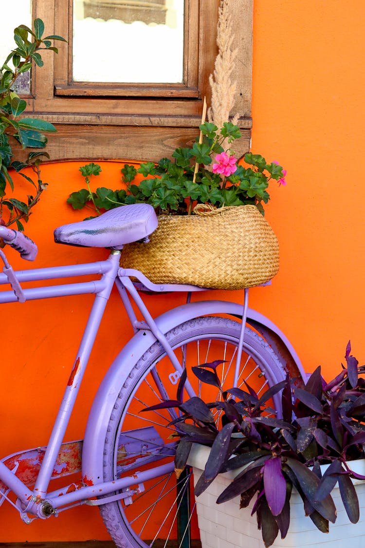 Flowers In Bag On Bicycle