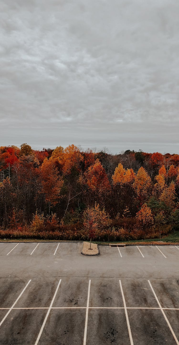 View Of An Empty Parking Lot In Autumn 