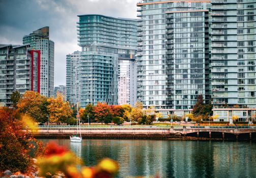 Autumn leaves and modern buildings reflect in Vancouver's serene waterscape.