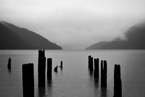 Free stock photo of lake water, lakeside, mountain lake