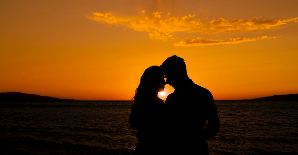 Silhouette of a Couple · Free Stock Photo