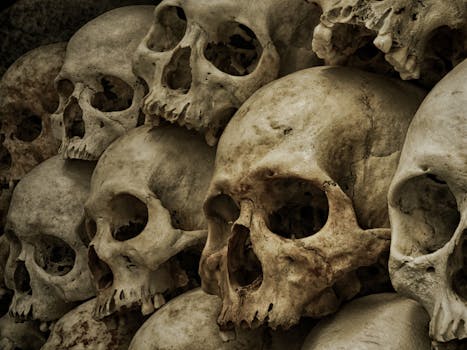 A haunting display of human skulls, perfect for spooky Halloween decor and themes.