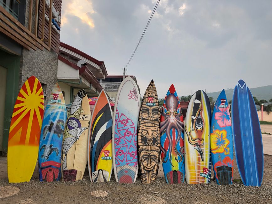 Vibrant surfboards lined up outside a surf shop, showcasing dynamic designs.