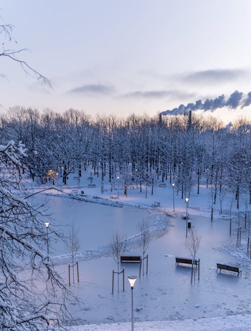 Aerial View of a Park Covered in Snow 