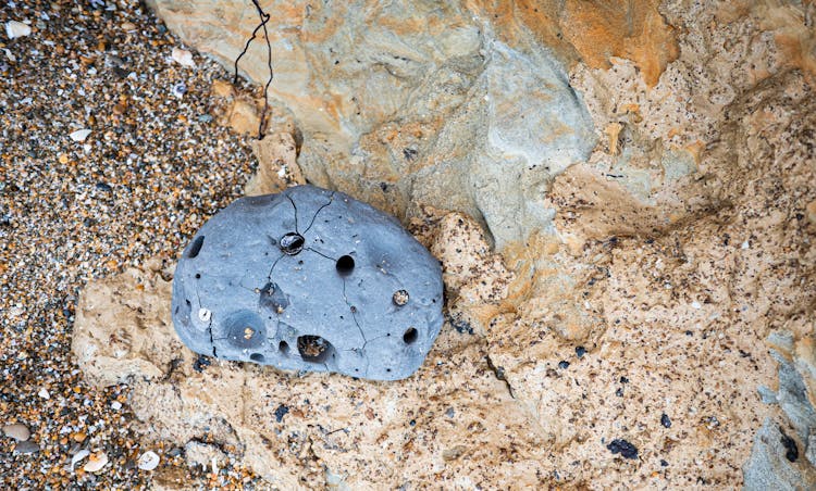 Cracked Grey Rock Lying On Beach