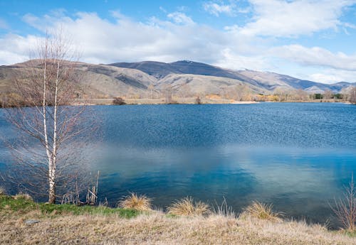 Darmowe zdjęcie z galerii z góry, jezioro, krajobraz