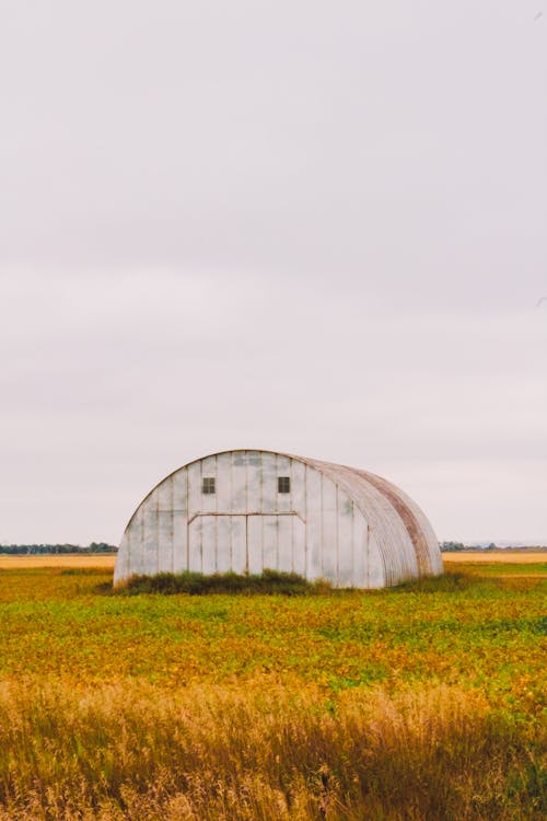 A Barn on a Field