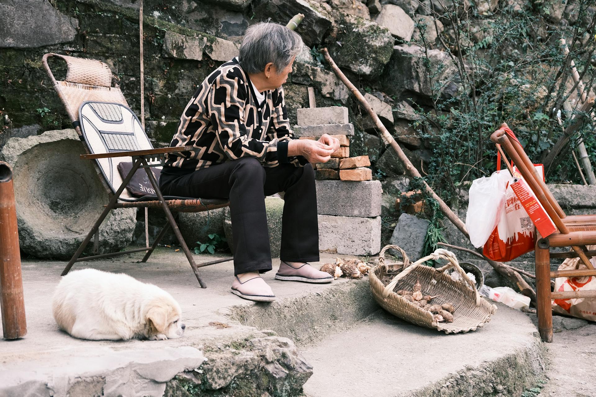 Man Sitting on Stone Steps with Dog