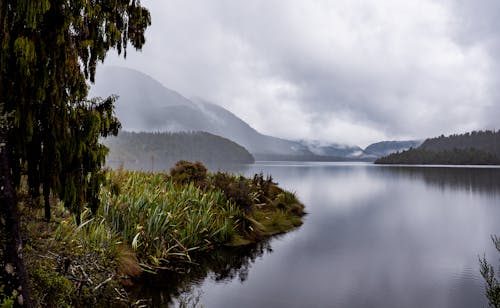 Základová fotografie zdarma na téma divočina, hory, krajina