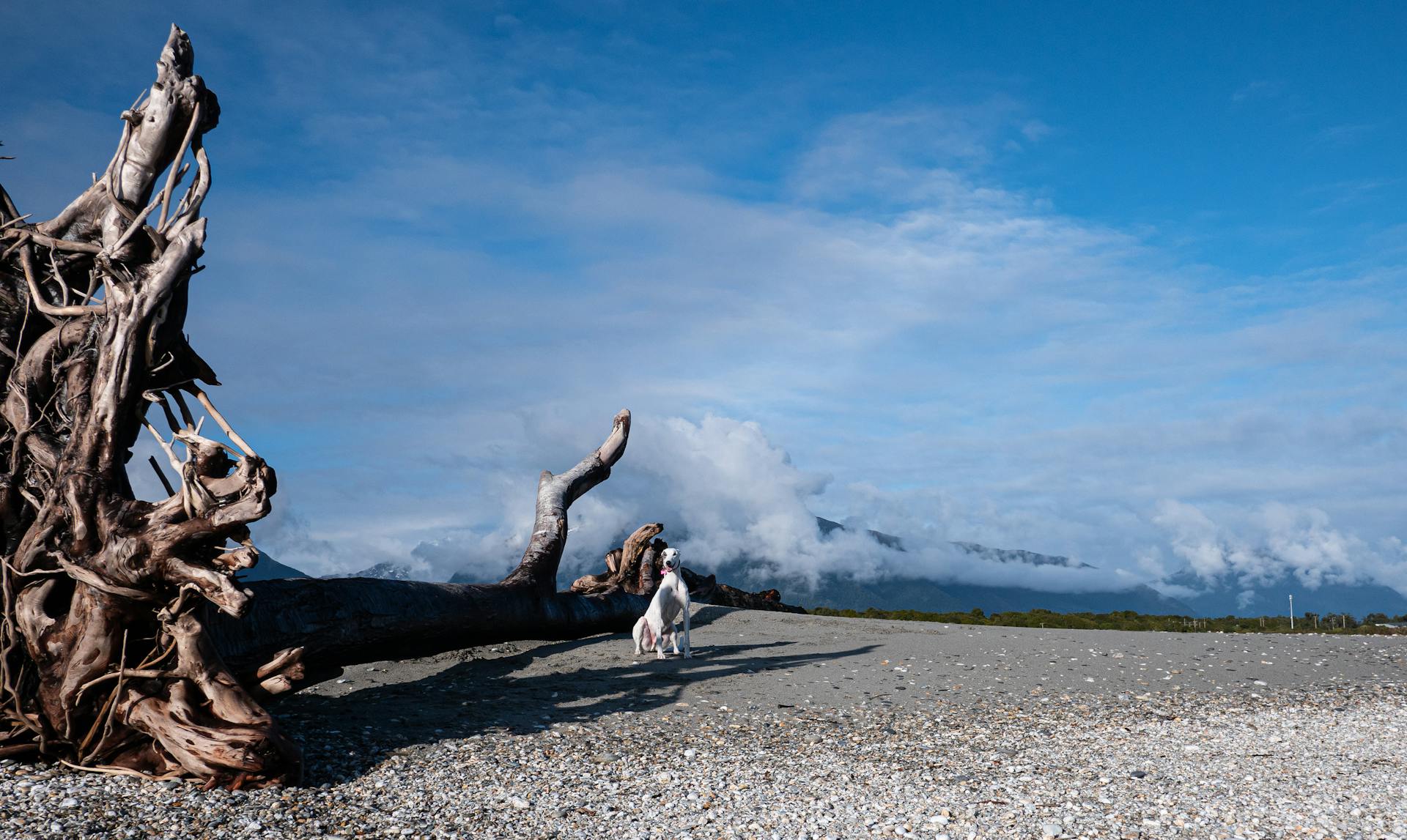 Woman in White Dress Sitting on Gray Sand Under Blue Sky