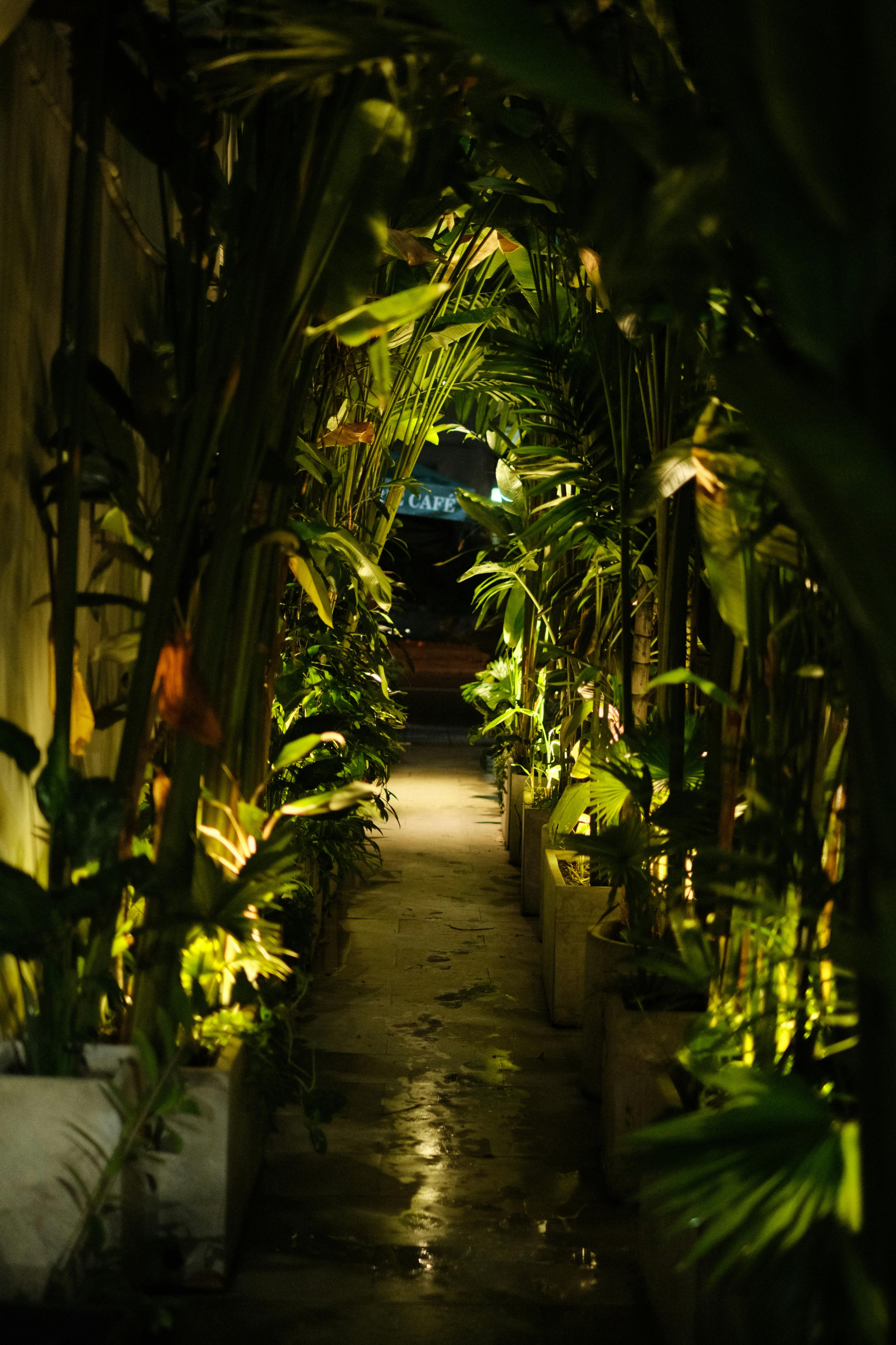 Gardening Secrets For A Lush Garden