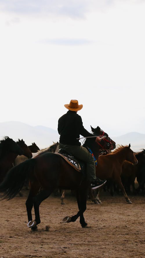 Man Riding Horse on Field