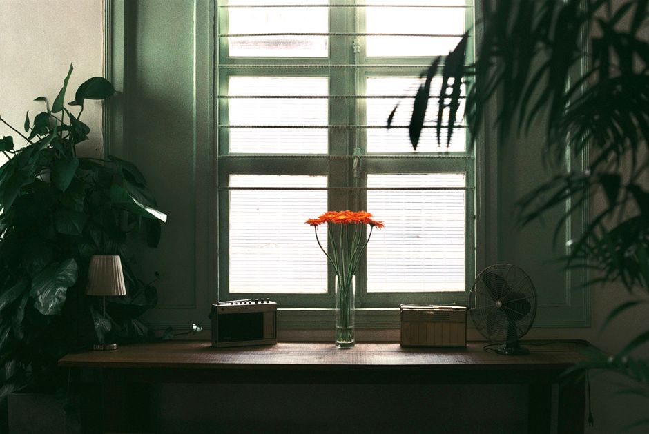 A serene indoor setting featuring a table with orange flowers, plants, and a window view.