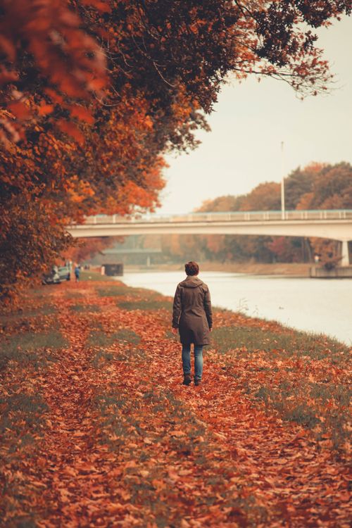 Free Woman walking along a riverbank in Lommel, Belgium, surrounded by autumn leaves. Stock Photo