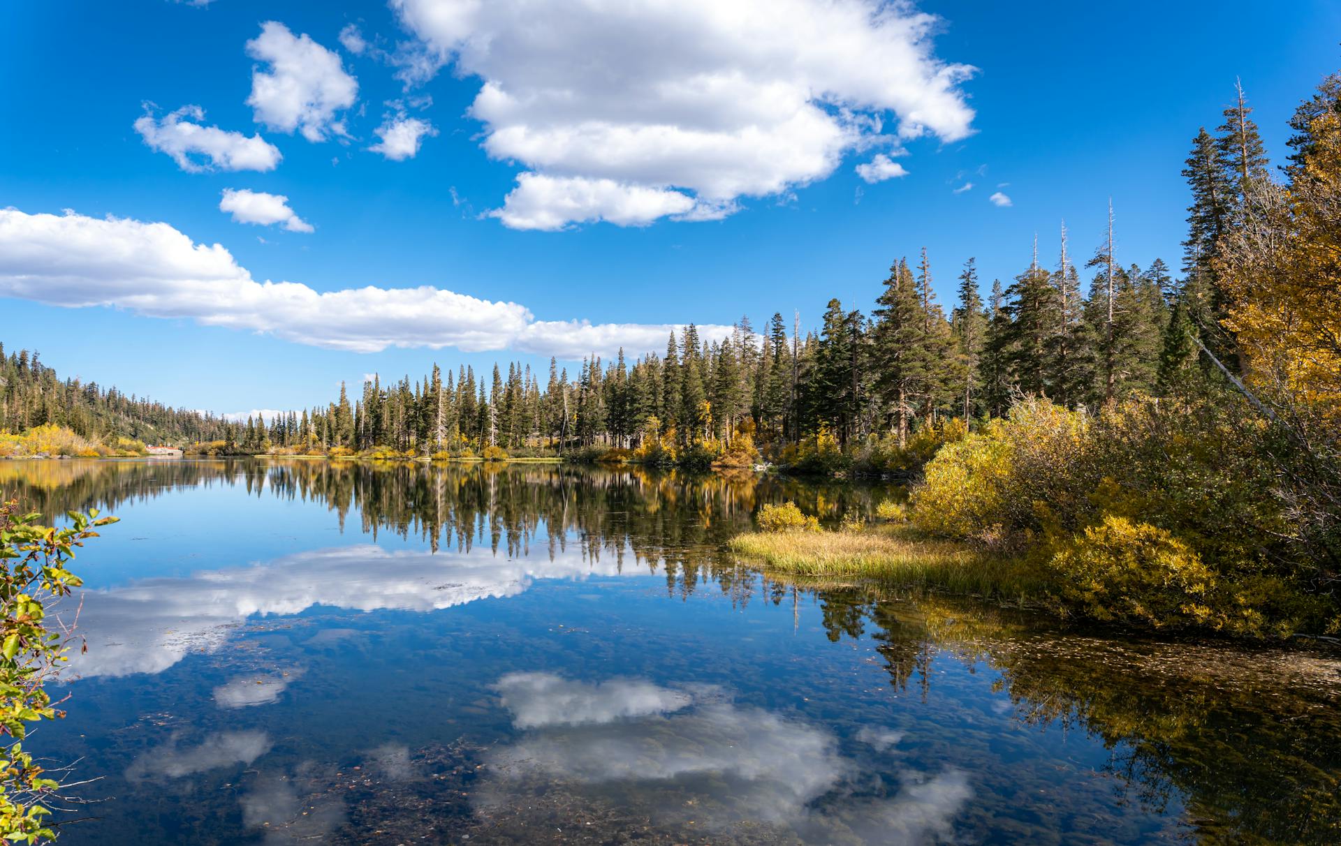 Fall at Mammoth Lakes, California