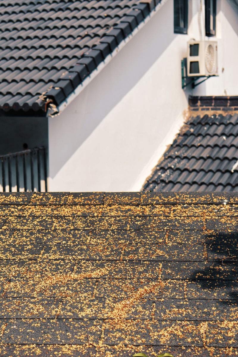 Roof Fall Protection Guide: OSHA Requirements & Best Practices