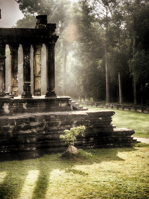 View of Ruins of an Ancient Temple in Woods