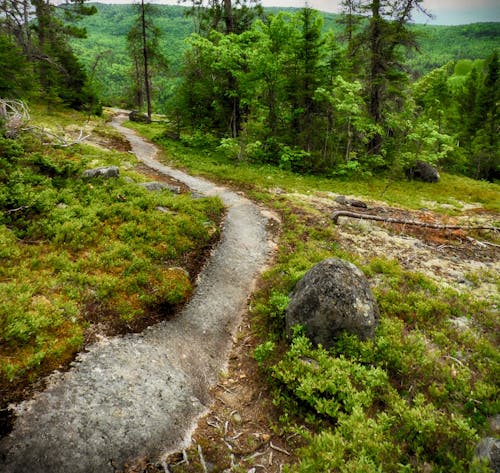 Free stock photo of canada, charlevoix, forest