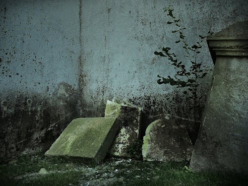 Free stock photo of church, exploration, gravestones