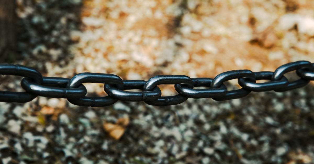 The Surprising Link Between Your Gut Health and Mental Clarity