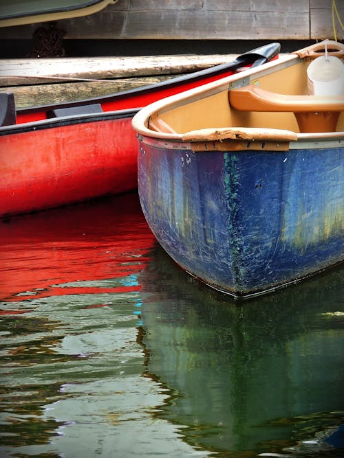 Free stock photo of canada, ontario, rowboat