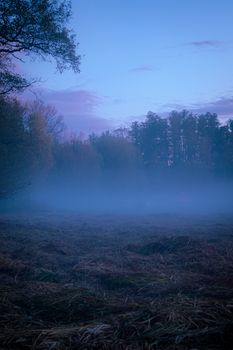 Serene view of a misty field and trees at twilight in Lübbenau, Germany.