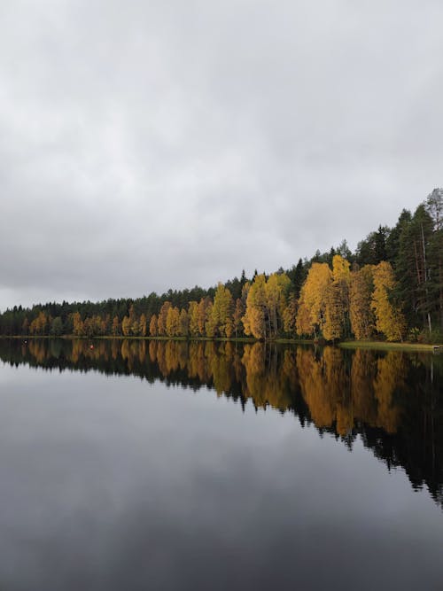 Бесплатное стоковое фото с вода, деревья, небо