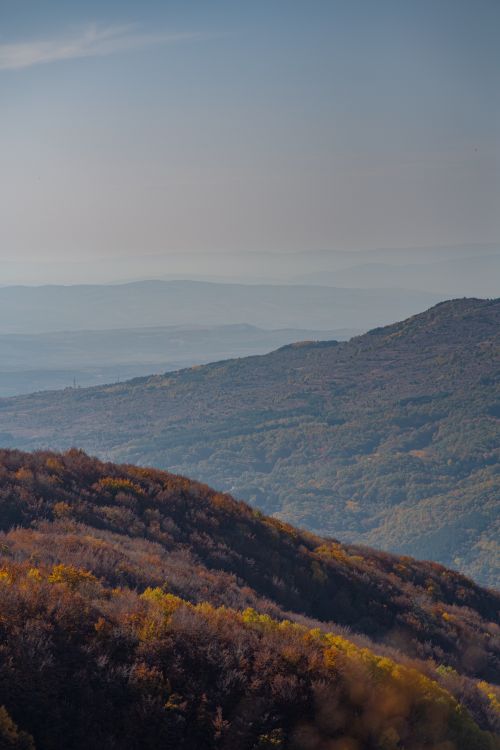 Free A stunning aerial view of lush mountains with autumn foliage under a clear sky during the day. Stock Photo