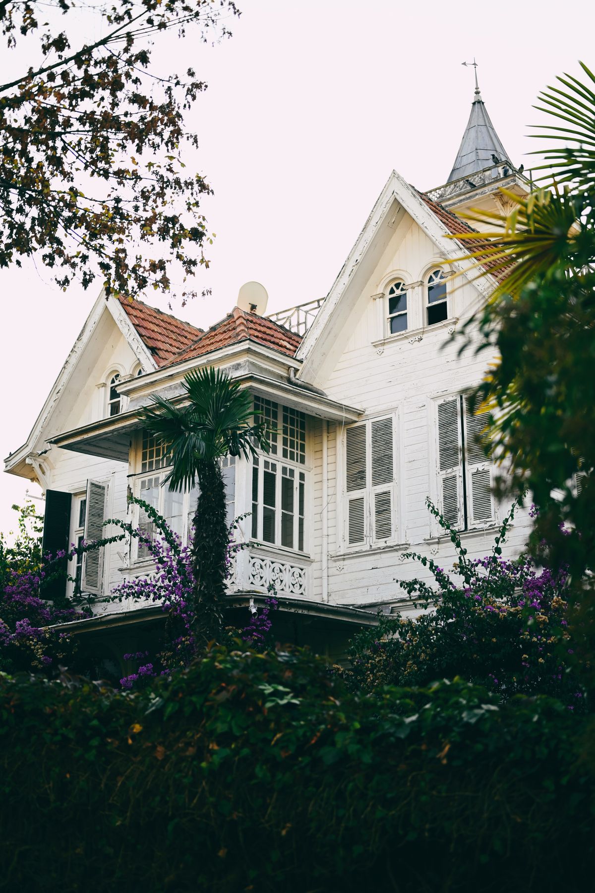 A large white estate home framed by trees on the grounds