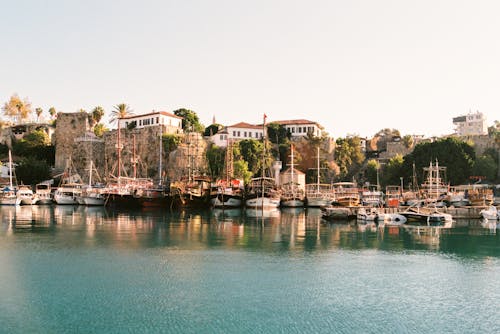 Yachts in Port in Coastal City