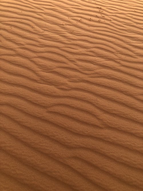 Wavy Surface of Brown Sand