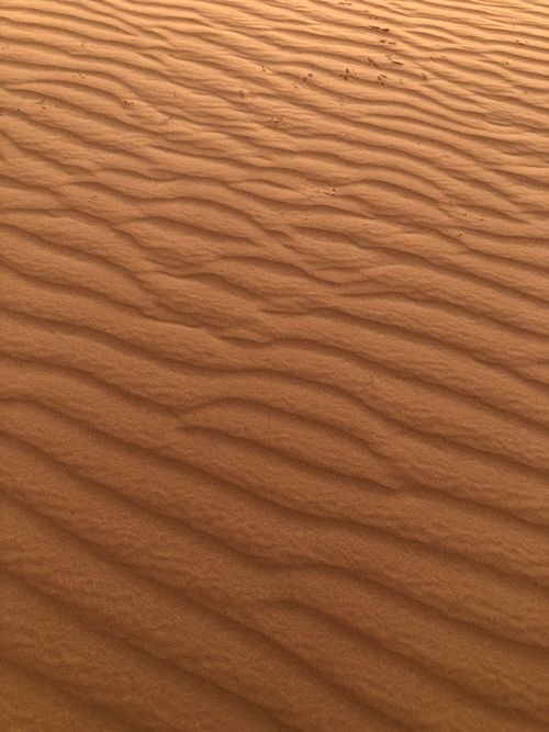 Free Rippling patterns on desert sand create a wave-like texture under subtle sunlight. Stock Photo