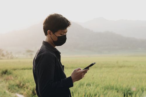 Free a man holding a cellphone with a rice field view Stock Photo
