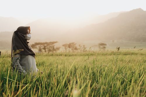 Free A woman wearing a hijab and mask stands in a serene field at sunrise in Yogyakarta, Indonesia. Stock Photo