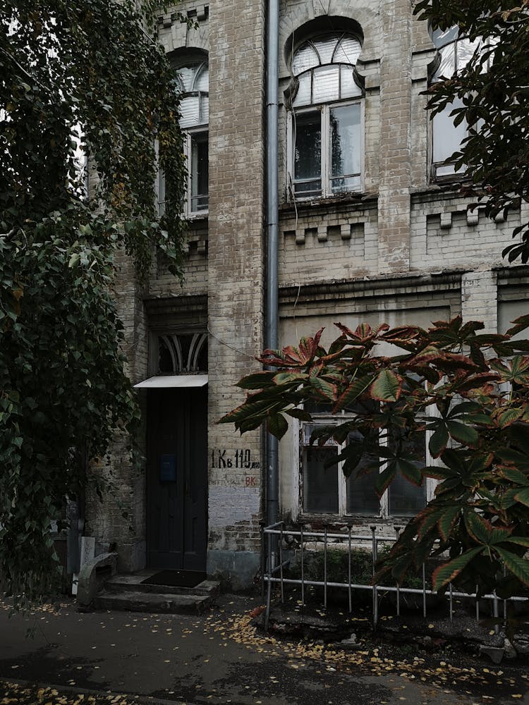 A Gray Brick Building Near Plants