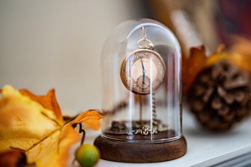 Free Pocket Watch on a Watch Holder Stock Photo