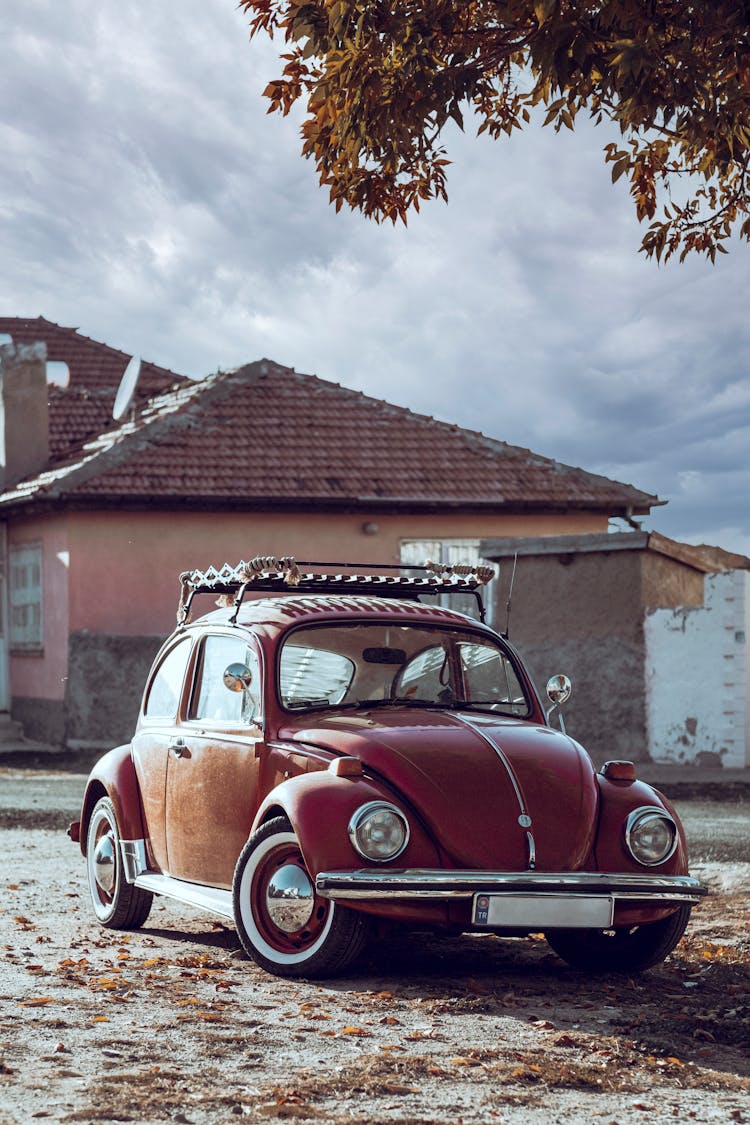 Red Vintage Volkswagen Beetle Parked Under Tree