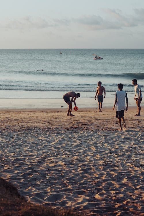 คลังภาพถ่ายฟรี ของ ชายทะเล, ชายหาด, ผู้คน