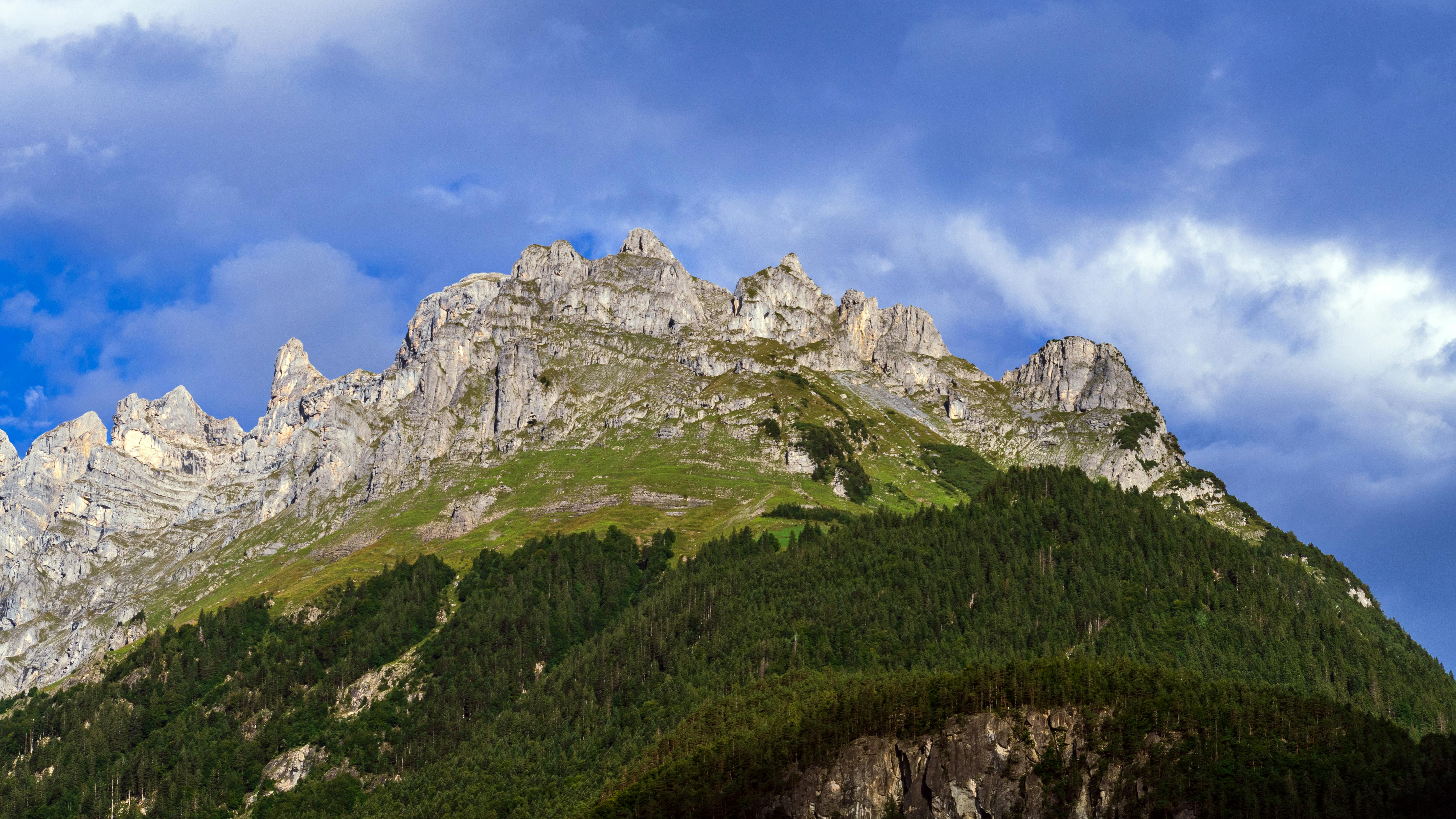 What is a natural DHT blocker?